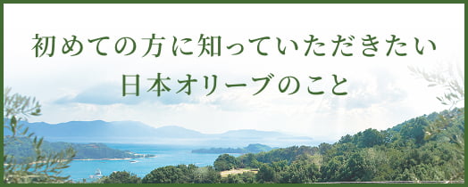 初めての方に知っていただきたい日本オリーブのこと