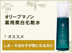 オリーブスタイルセット