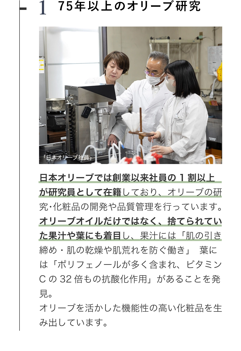 オリーブ研究、75年以上