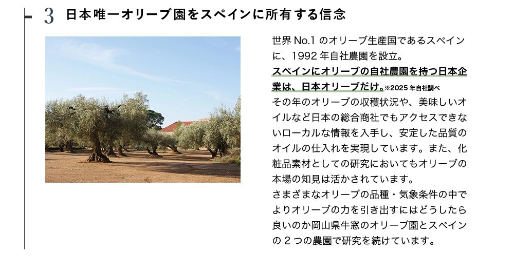 日本企業で唯一、スペインにオリーブ園を所有する日本オリーブ