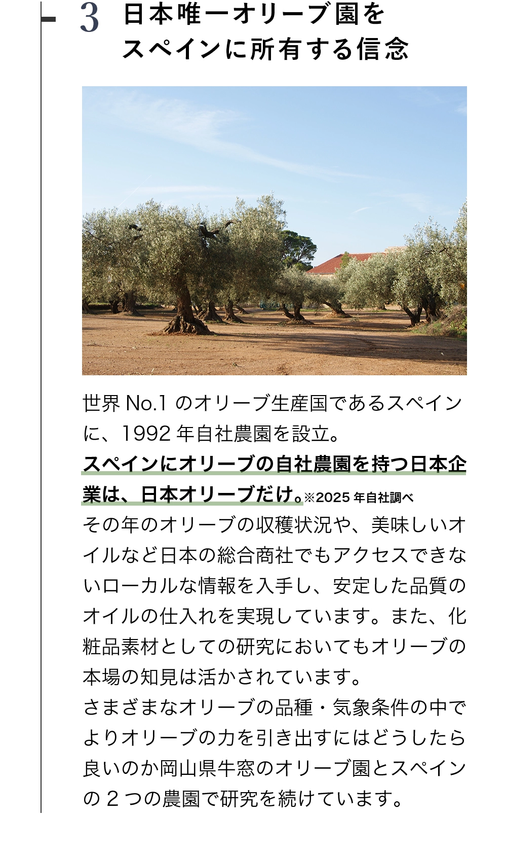 日本企業で唯一、スペインにオリーブ園を所有する日本オリーブ
