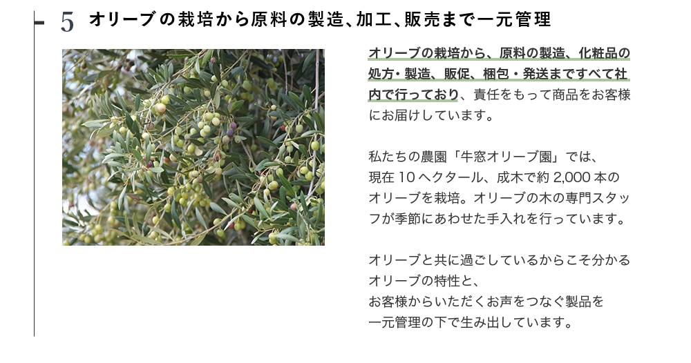 オリーブの栽培から原料の製造、加工、販売まで一元管理