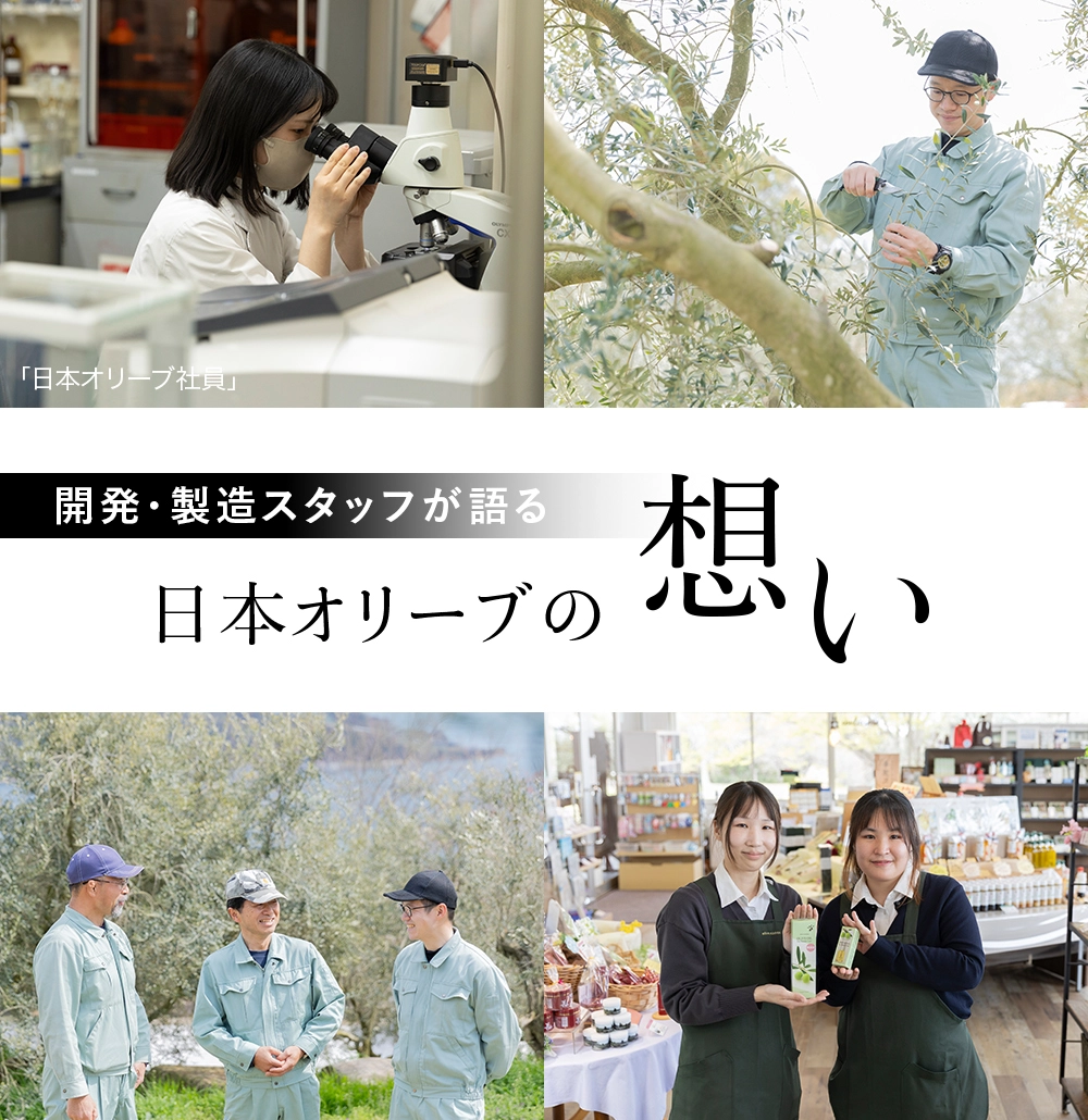日本オリーブの想いを開発・製造スタッフが語る