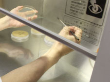 洗顔せっけん