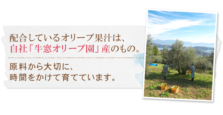 オリーブ
