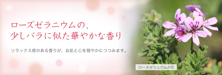 オリーブ