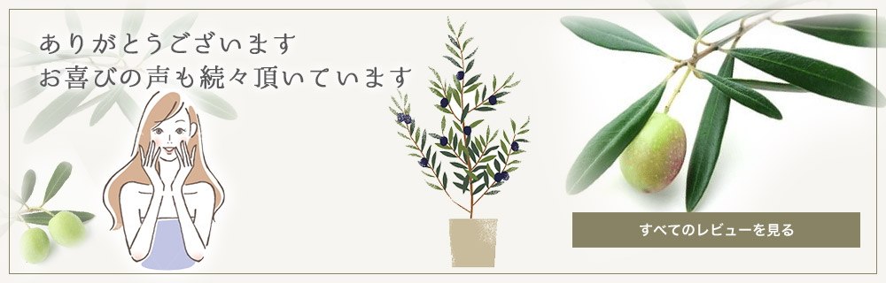 オリーブ木 レビューありがとう