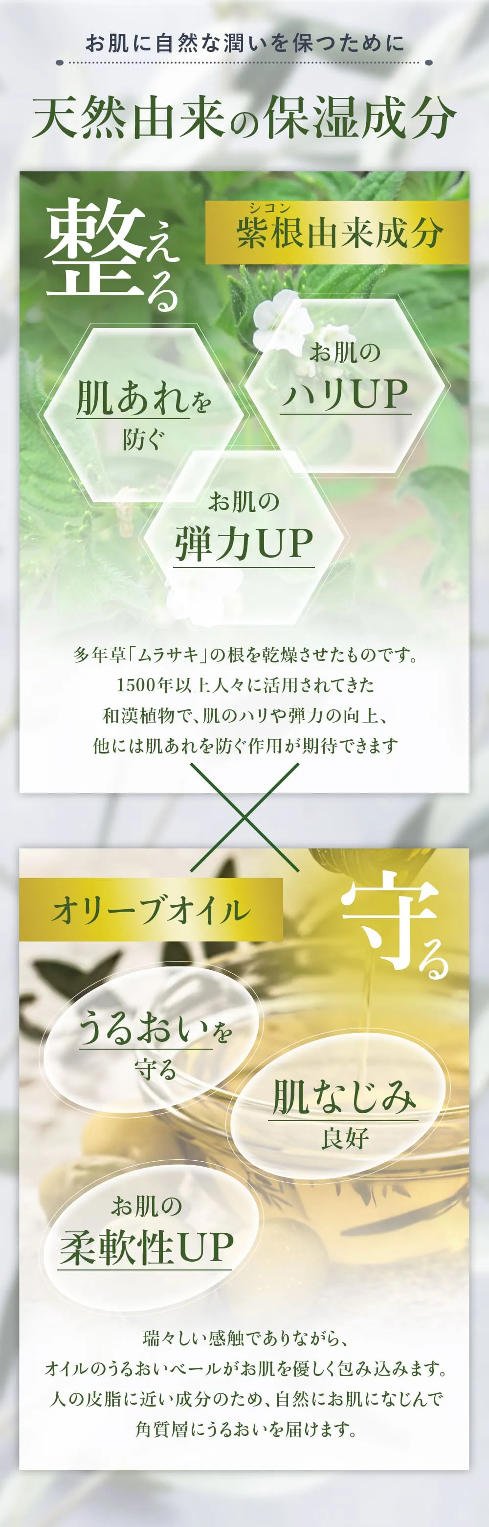 シコリーブ薬用スキンクリームの紫根由来成分とオリーブオイル