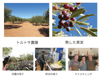 オリーブオイル