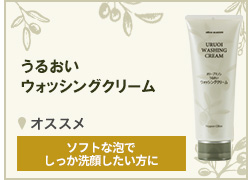 オリーブスタイルセット