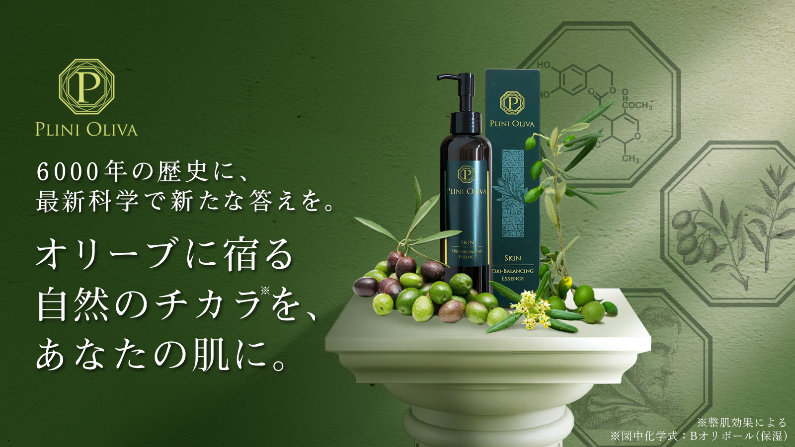 PLINI OLIVA | 日本オリーブオンラインショップ