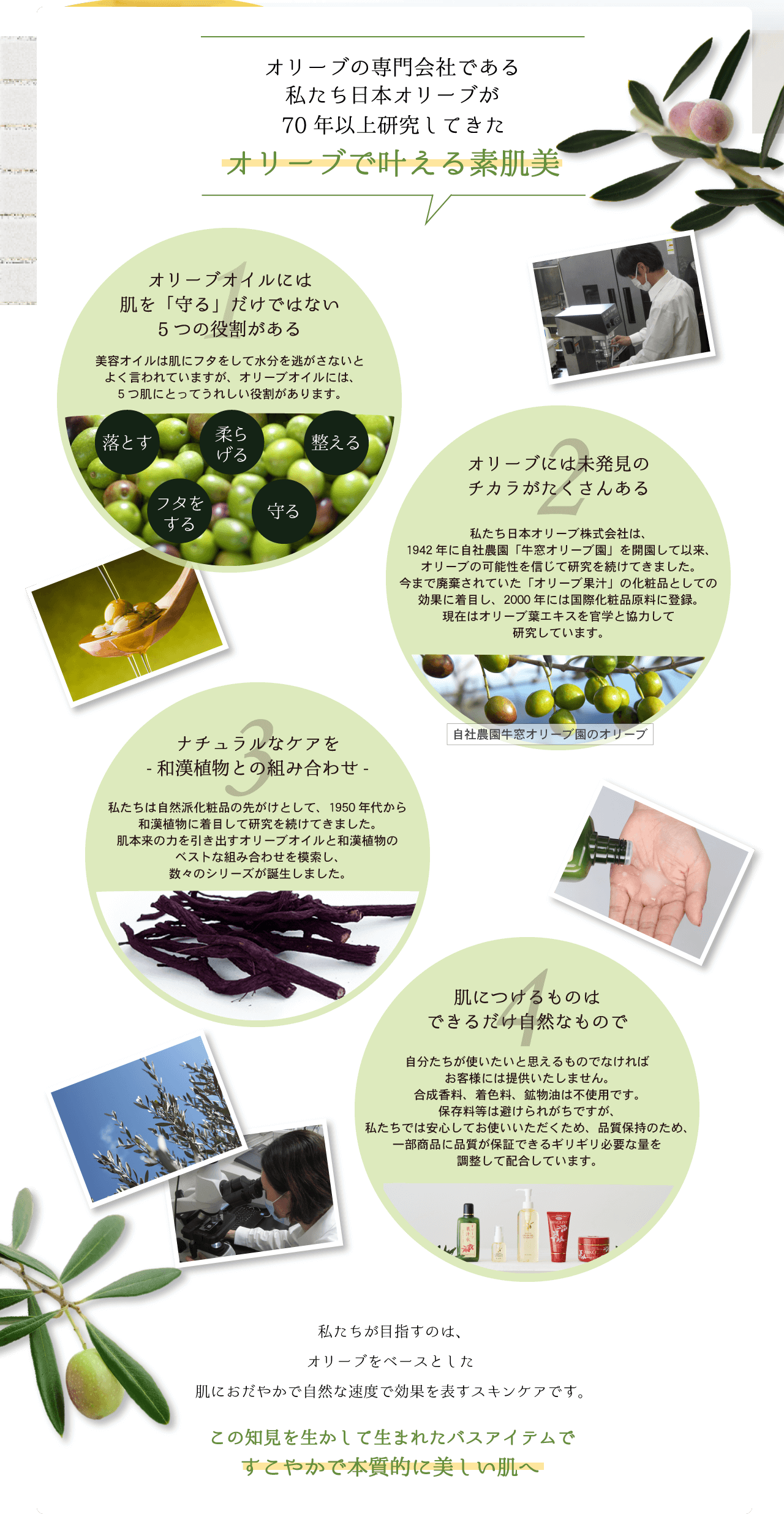 オリーブバスアイテム体験セット