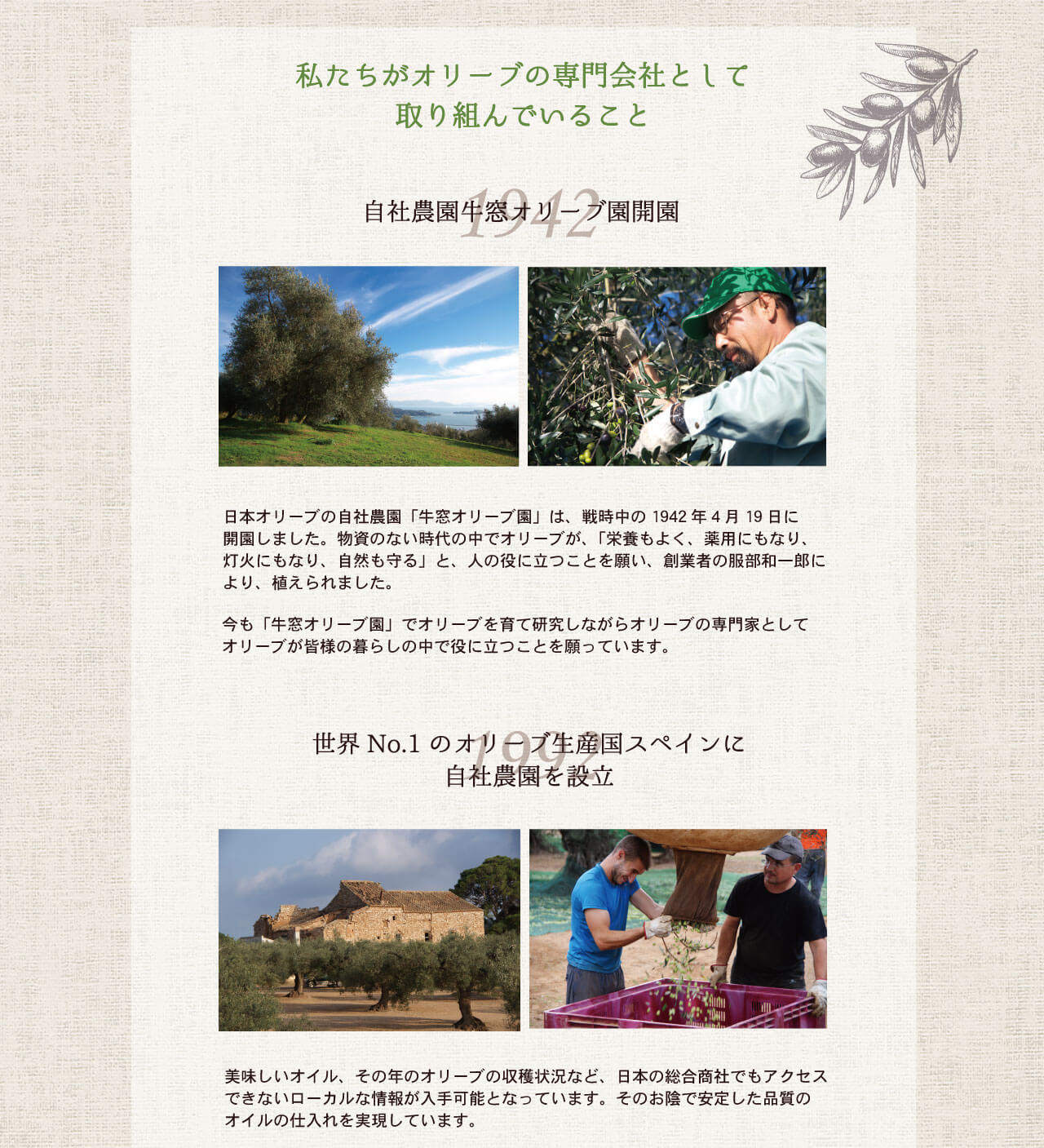 オリーブバスアイテム体験セット