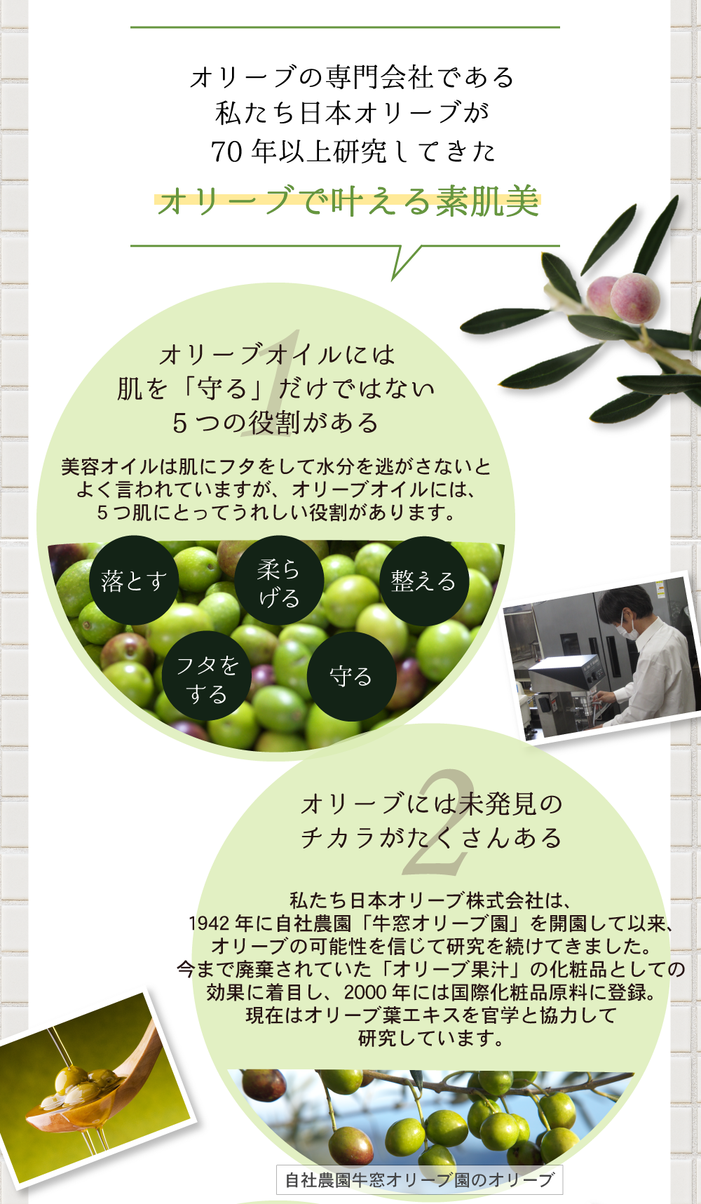 オリーブバスアイテム体験セット