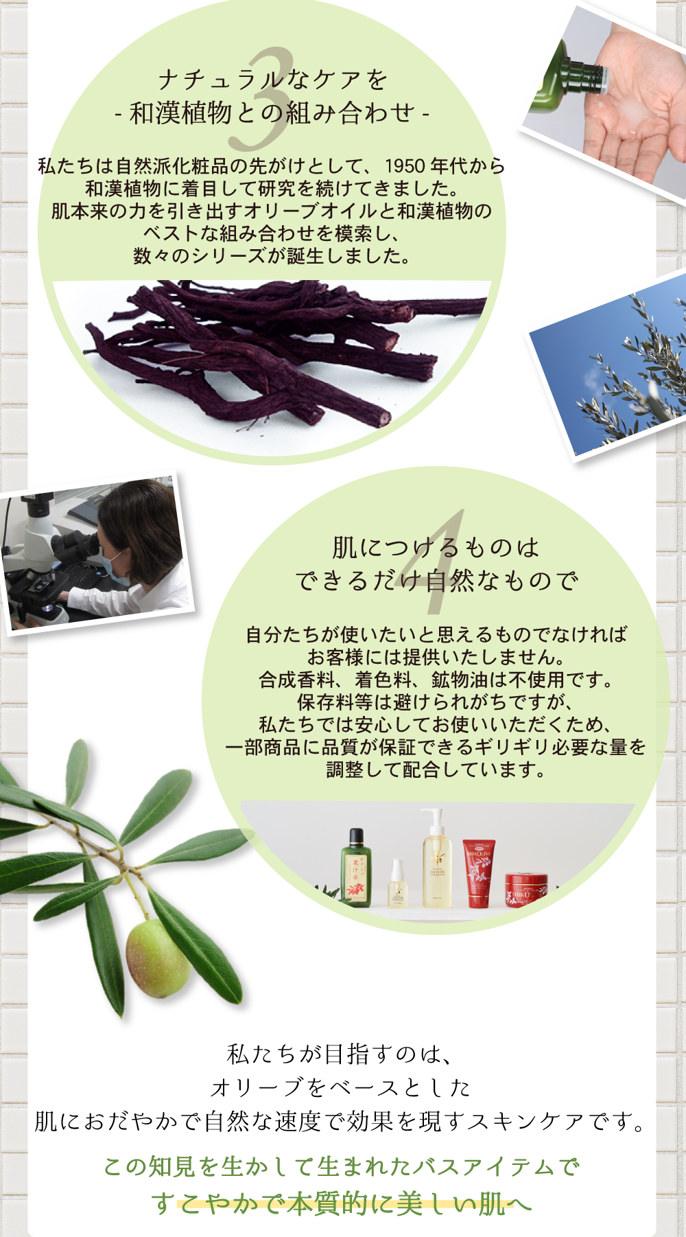 オリーブバスアイテム体験セット