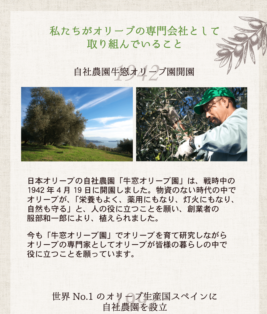 オリーブバスアイテム体験セット