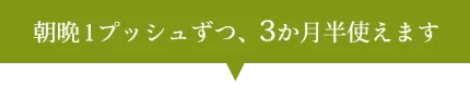 朝晩1プッシュずつ、3か月半使えます