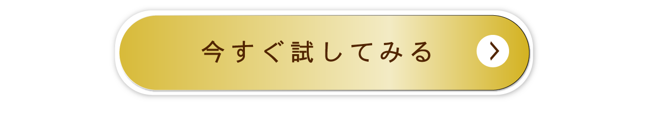 今すぐ試してみる