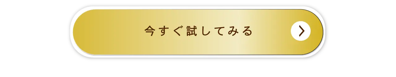 今すぐ試してみる