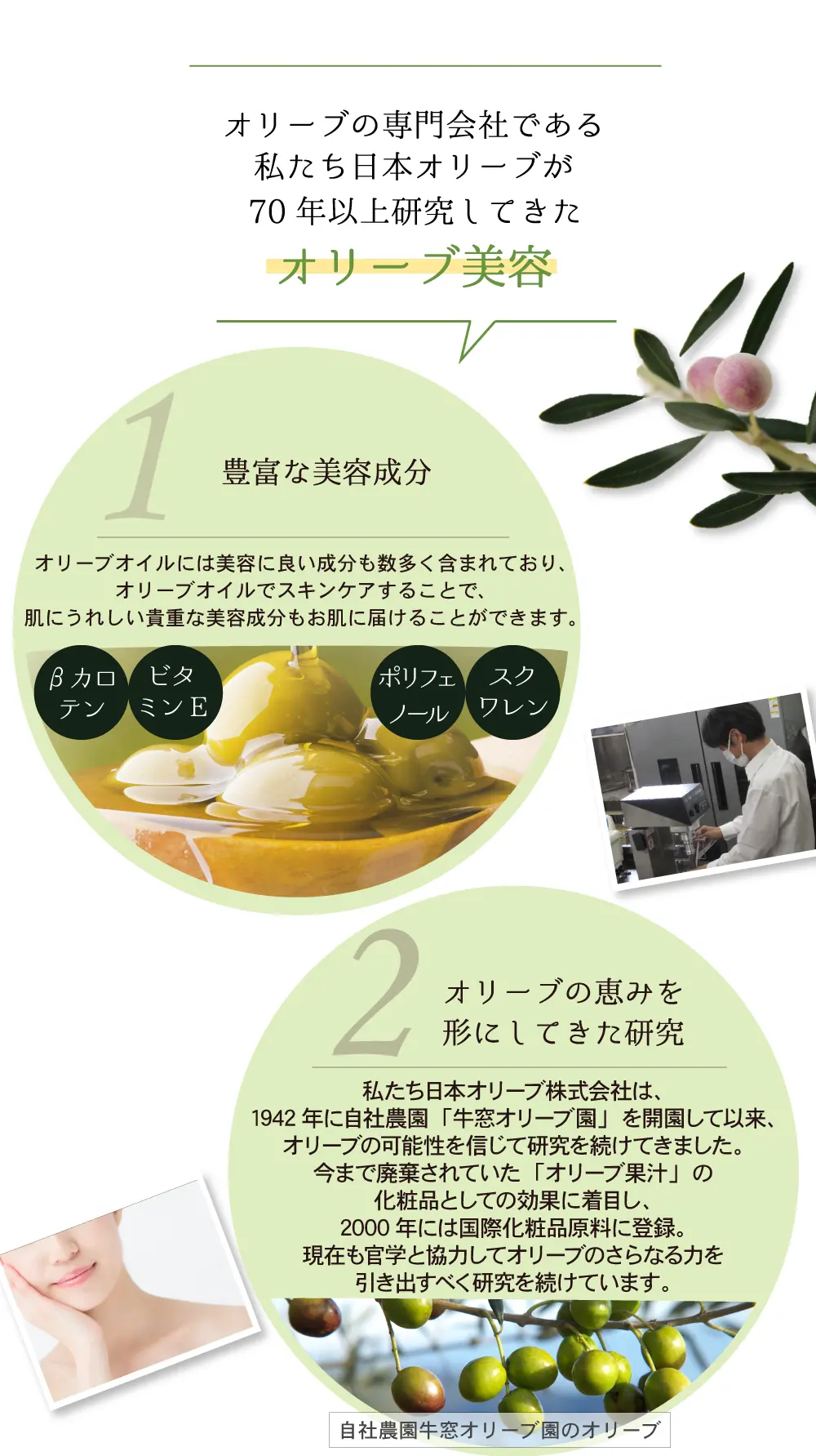 70年以上研究 オリーブ美容