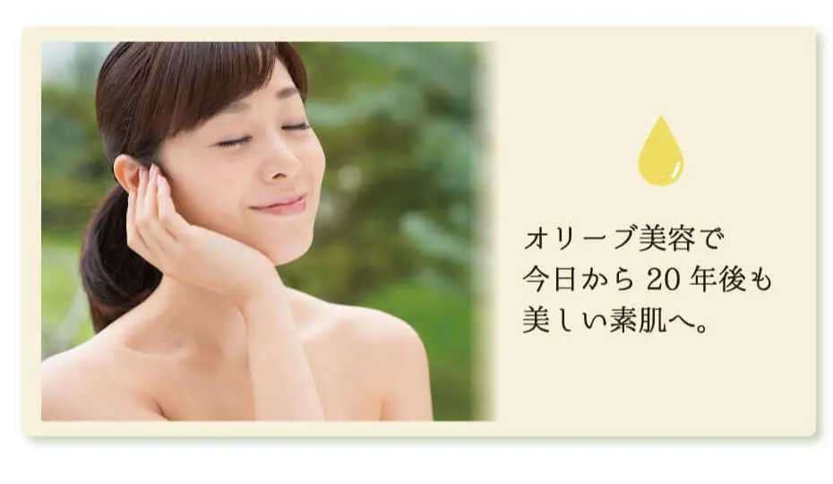 オリーブスキンケア人気アイテム体験セット セット内容 保湿化粧水 保湿クリーム 美容オリーブオイル